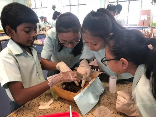 Going green begins in the classroom