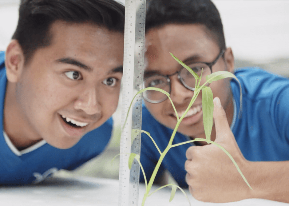 Fire up your child’s interests… teachers tell you how