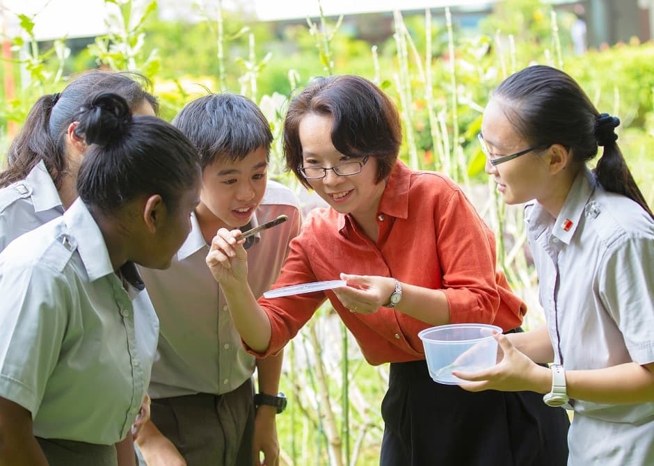 The language of connections