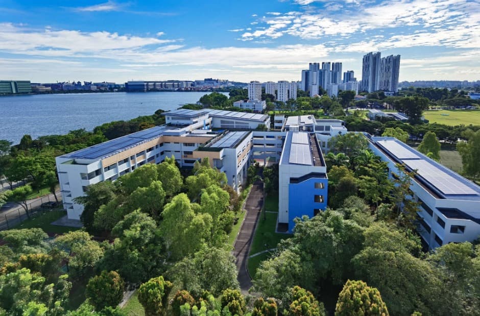 There’s a rainforest in my school