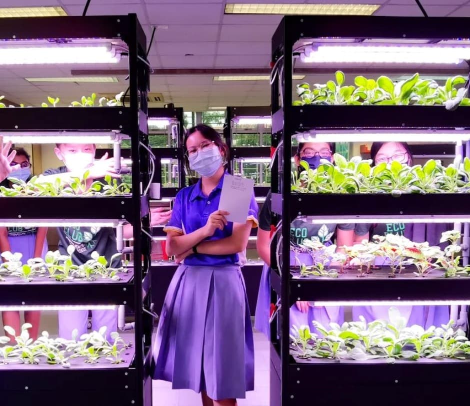 The way of water – How sustainability lessons at school shaped this student’s career goals