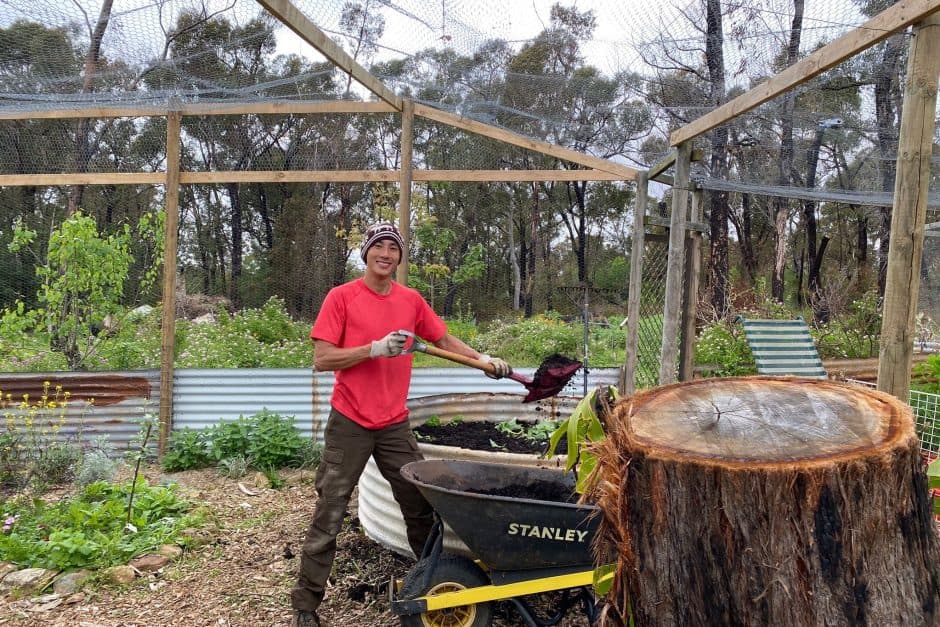 Growing pains: How this ‘farmerpreneur’ flew from aerospace to high-rise farming