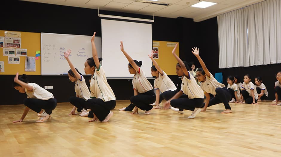 Our School Community: Junior Category