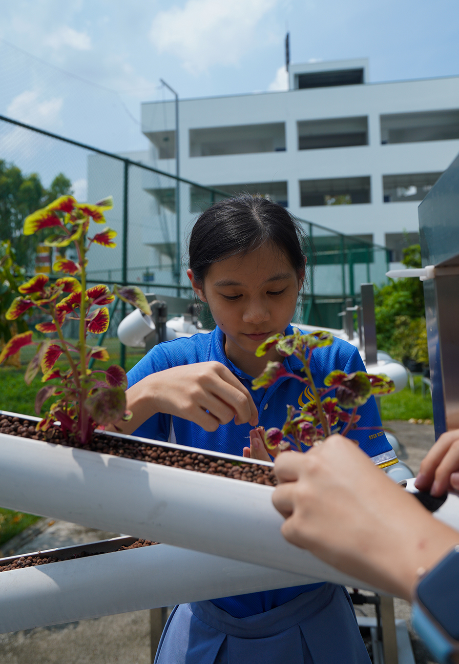 Hero_Youth_WP_Commonwealth-Secondary-School_ClarisseTan_RaphaelHeng_2-cwss-nmc.jpg