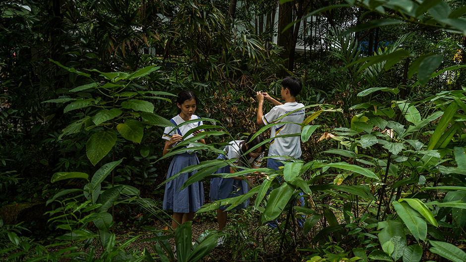 Youth_WP_Commonwealth-Secondary-School_ClarisseTan_RaphaelHeng_4-cwss-nmc.jpg