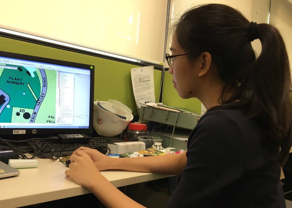 Real world, real learning: Geography internships